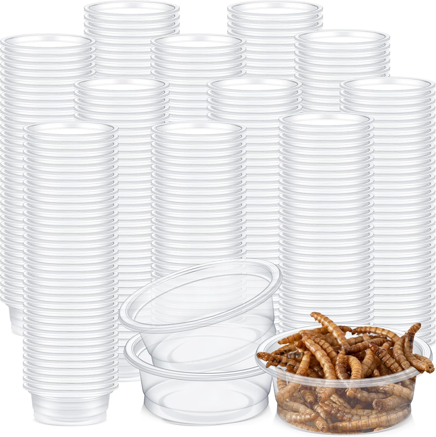 Maxcheck 1000 Pcs 0.5 oz Gecko Feeding Cups Small Gecko Food and Water Cups Reptile Feeding Bowls Plastic Bearded Dragon Food Bowl for Lizard Small Pet Ledge Accessories