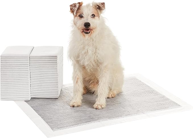 Amazon Basics Carbon Odor Control Dog and Puppy Pee Pads, 5-Layer Leak-Proof by AmazonBasics