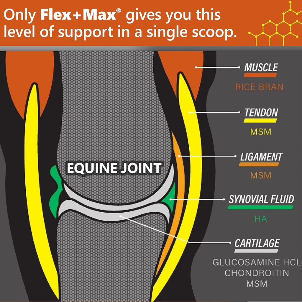 Absorbine Flex+Max Horse Joint Supplement Pellets, Highly Palatable, Comprehensive Equine Formula with Glucosamine, MSM, Chondroitin & Flaxseed, 5lb Bag / 30 Day Supply