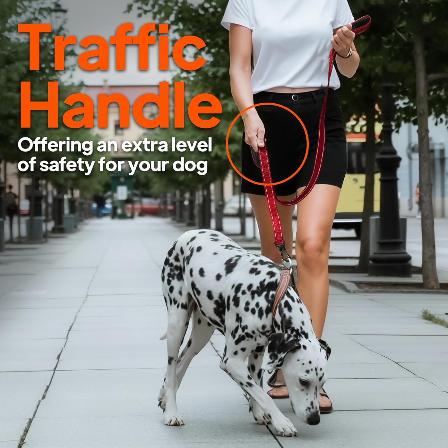TwoEar 4FT 1IN Strong Green Dog Leash with 2 Padded Handles, Traffic Handle Extra Control, Comfortable Soft Dual Handle, Auto Lock Hook, Reflective Walking Lead for Small Medium and Large Dogs