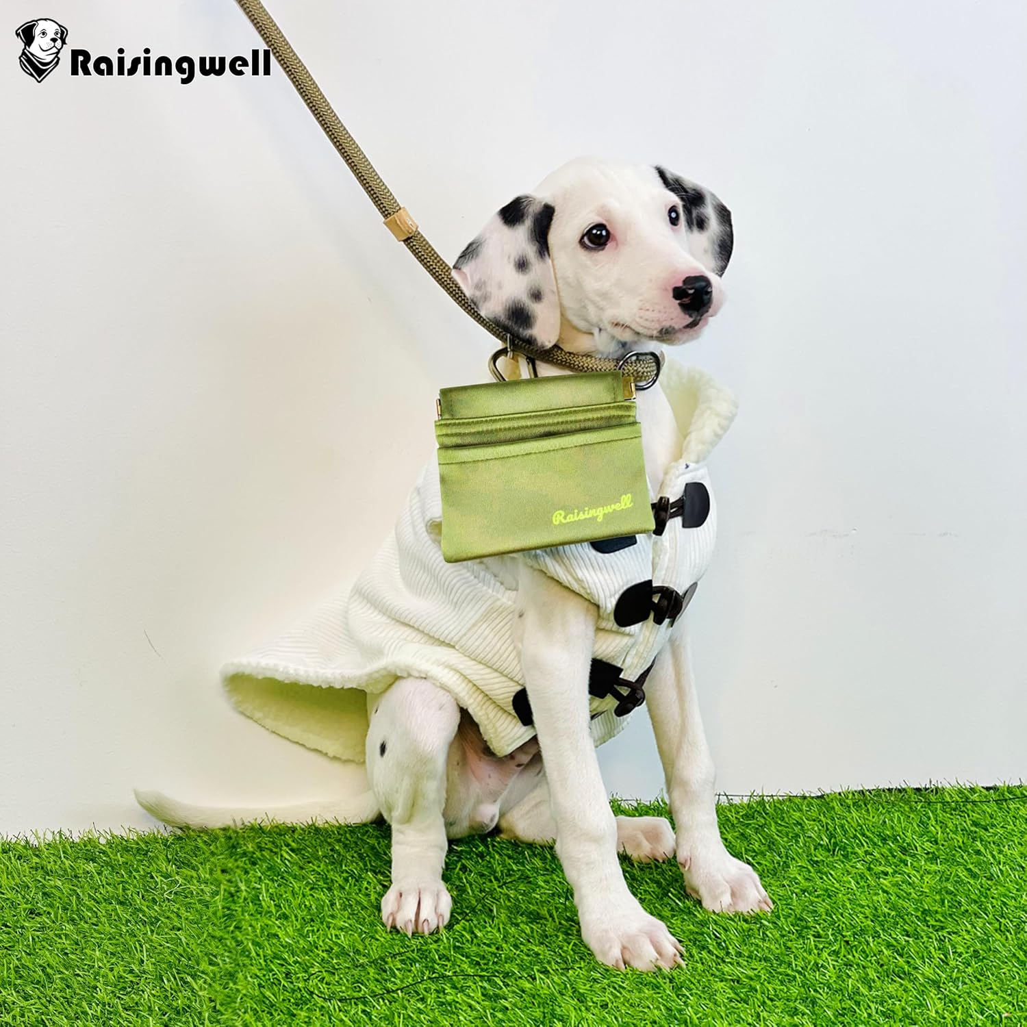 Dog Treat Pouch, Pocket Sized Pet Training Pouch, Hand Free Bronze Dog Walking Bag with Carabiner, Self-Closing Pet Feed Snack Reward, for Puppy Travel or Outdoor Use, NanoPTC