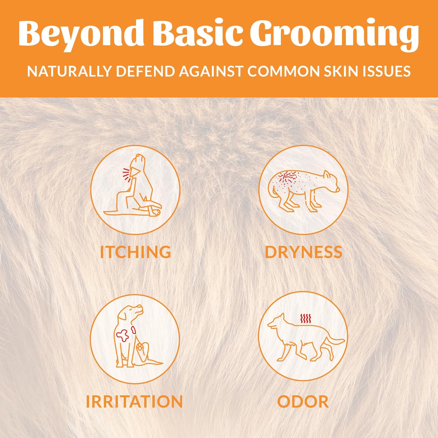 Skout's Honor Probiotic Dog Shampoo & Conditioner with Avocado Oil & Omega-3s, 97% Natural, Paraben & Sulfate-Free, Cruelty-Free, 16oz, Honeysuckle
