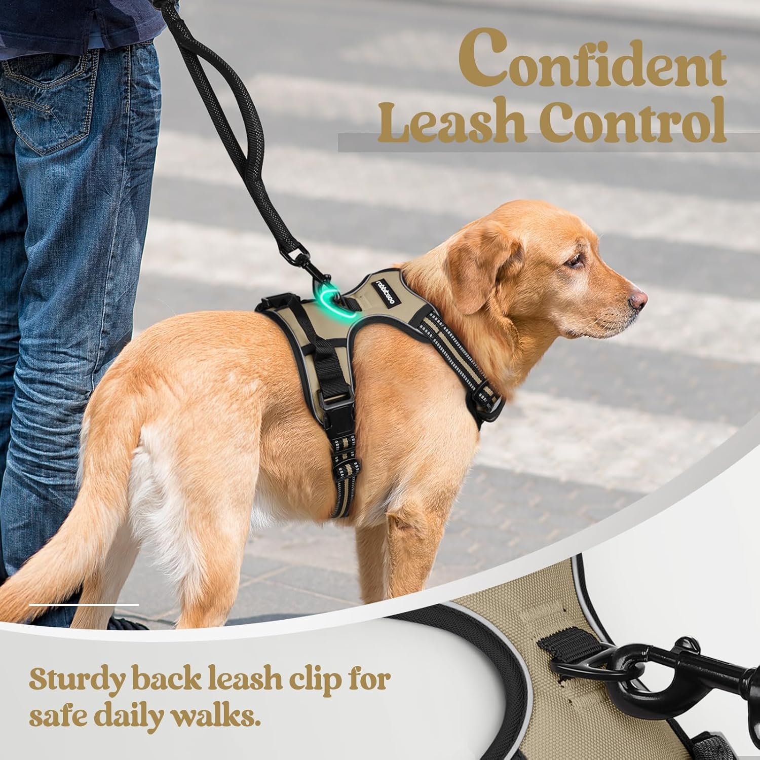 rabbitgoo Dog Harness No Pull with 2 Leash Clips, Adjustable Soft Padded, Reflective Oxford No Choke Pet Vest with Easy Control Handle for Large Dogs, Beige, L