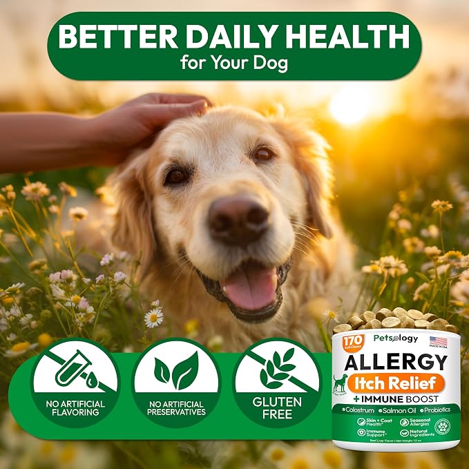 Dog Allergy Relief Chews - Image 6
