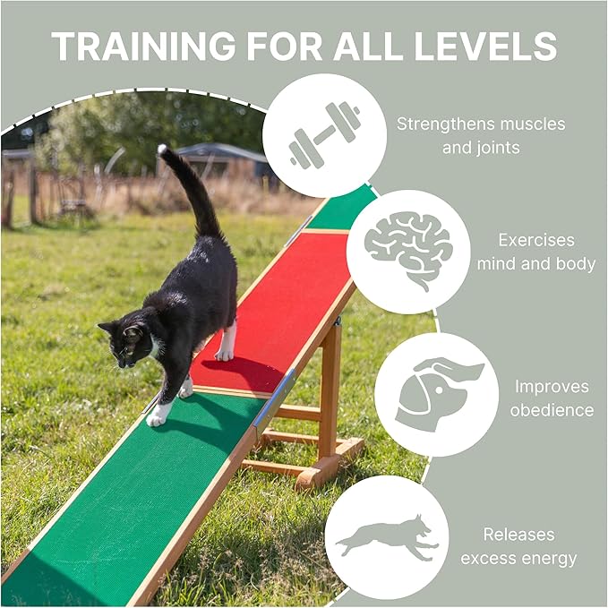 TRIXIE Agility Dog Seesaw with Contact Zones | Teeter Totter, Agility at Home - Image 3