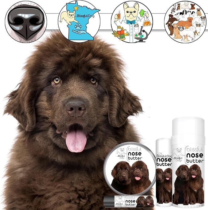 The Blissful Dog Bronze Newfoundland Nose Butter - Image 3