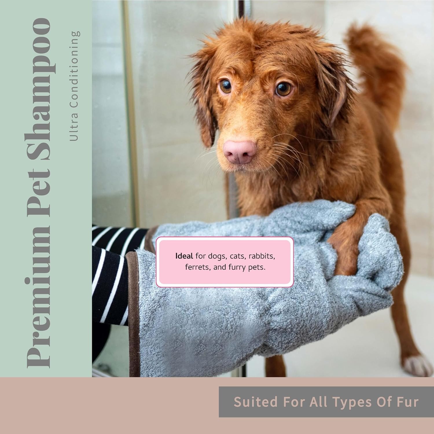 Begley's No Rinse Waterless Pet Shampoo, Bathless Cleaning, Deodorizing, and Odor Removal for a Shiny, Fresh Smelling Coat - Effective for Dogs, Puppies, and Cats - Fresh Tea Tree Scent