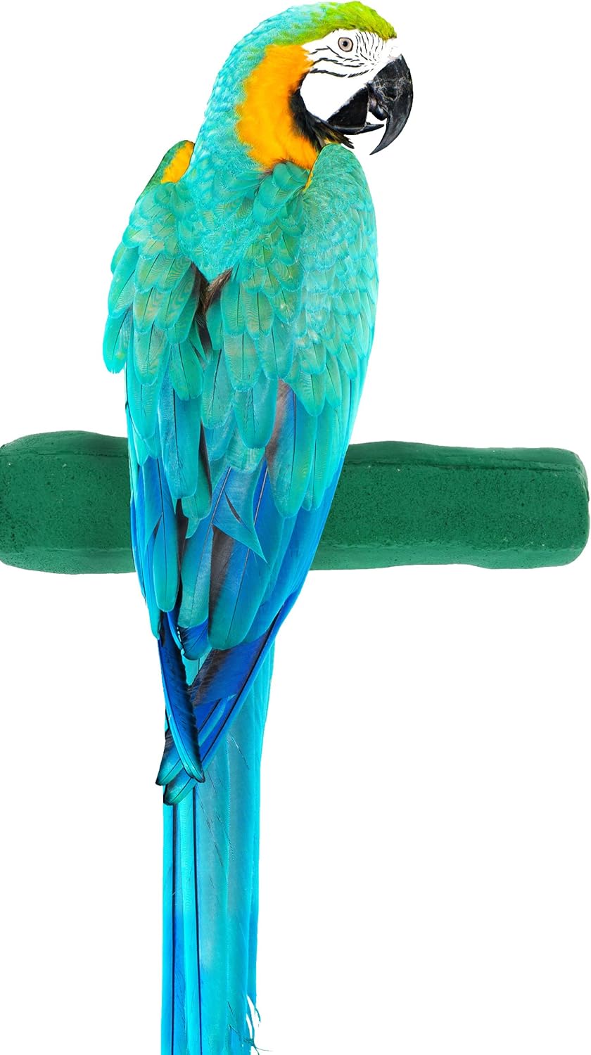 Comfort Grip Safety Perch for Bird Cages - Pedicure Perch for Birds to Keep Nails and Beaks in Top Condition - Safe Easy to Install Bird Cage Accessories - XL 13.5"