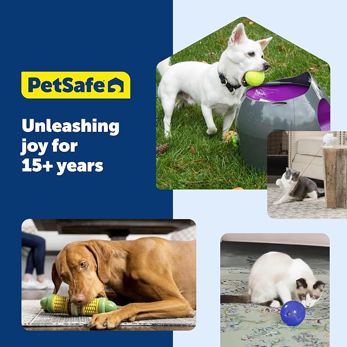 PetSafe Zoom Rotating Laser Cat Toy Includes 2 Interactive Laser Lights - Image 7