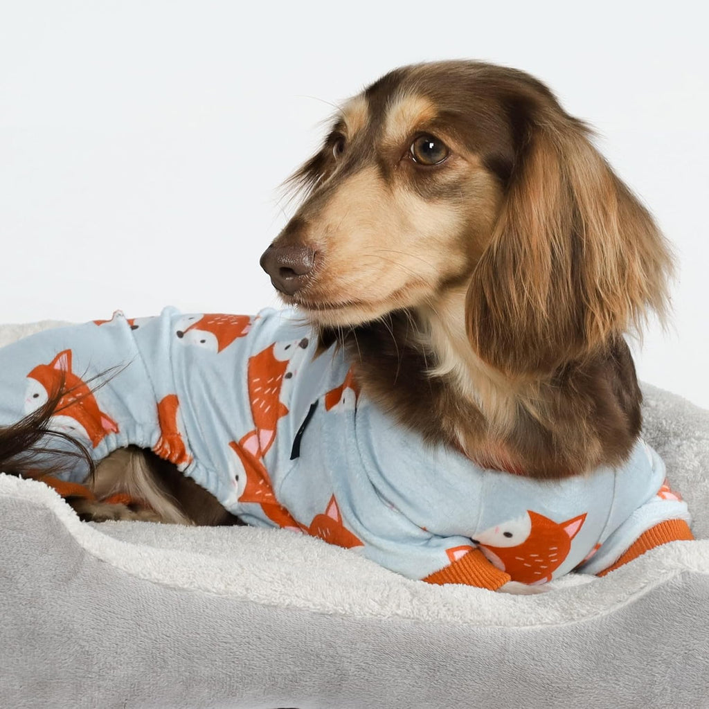 Fitwarm Funny Fox Dog Pajamas, Warm Dog Onesie, Dog Clothes for Small Dogs Girl Boy, Lightweight Velvet, Pet Outfit, Gray, Orange, Large