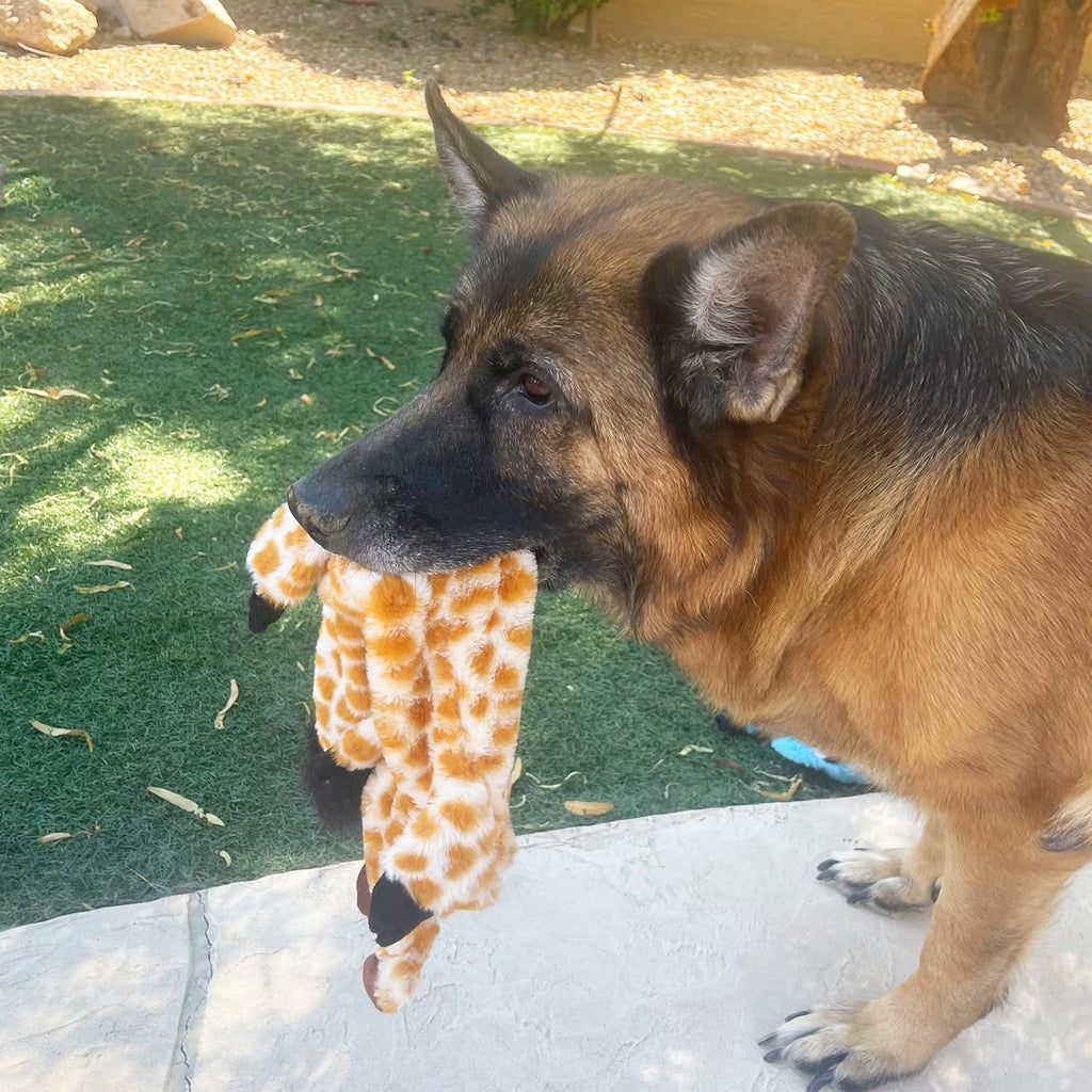 Jalousie 5 Pack Stuffingless Dog Squeaky Toys Dog Toy w/Durable Liner No Stuffing Dog Toy - Dog Toys Crinkle Paper Squeaker Toy for Medium Large Dogs (5 Pack - Extra-Large - Premium Furrrr)