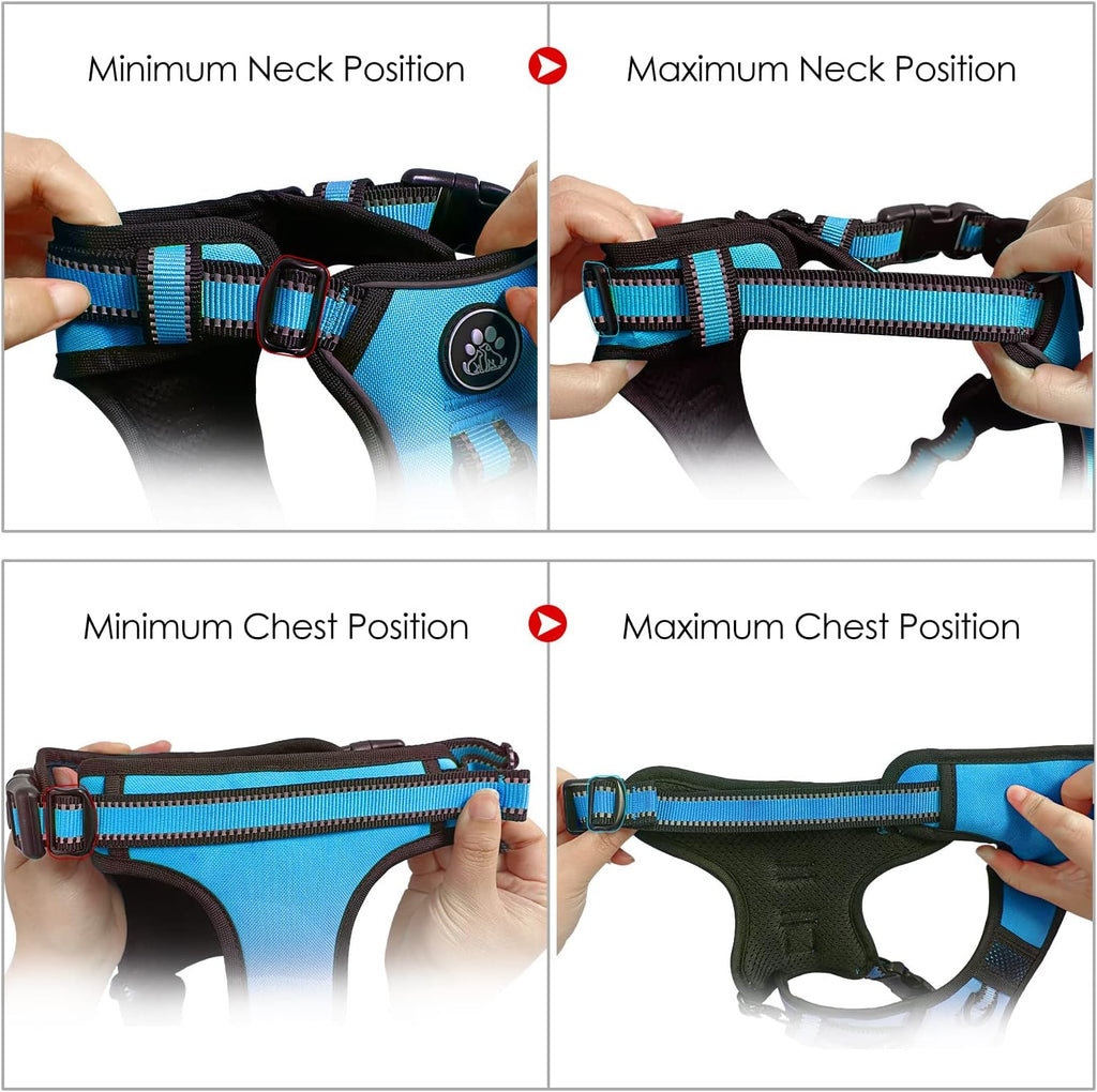 NESTROAD No Pull Dog Harness,Adjustable Oxford Dog Vest Harness with Leash,Reflective No-Choke Pet Harness with Easy Control Soft Handle for Small Medium Dogs(Medium,Blue)