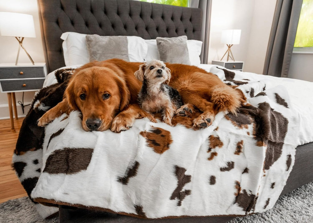 PupProtector Waterproof Throw Blanket for Dogs and Cats, Pet Blanket Cover for Couches, Sofas, Beds, Car Seats, Furniture, Calming Soft Faux Fur, Brown Cowhide, Large (80" L x 62" W)