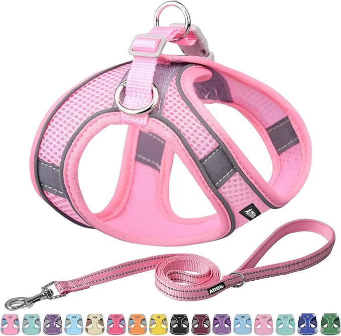 AIITLE Dog Harness, No-Pull Cat Harness by AIITLE-FORPETSBETTERLIFE
