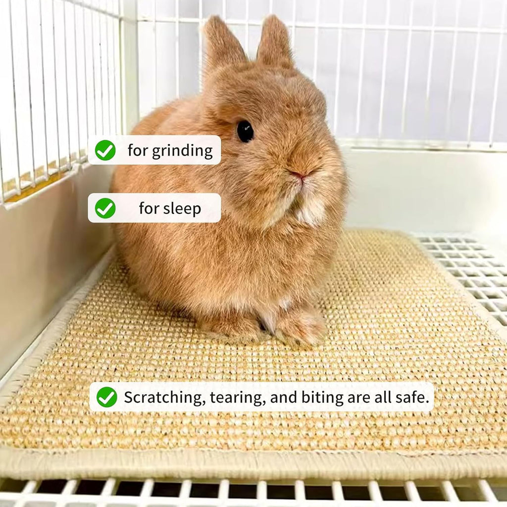 Oncpcare 2PCS Rabbit Scratch Mat Natural Bunny Scratching Pad Claws and Teeth Care Rabbit Mats for Cages Chew Toys for Bunny Pet Cage Bedding for Biting Sleeping Nesting, 16x12
