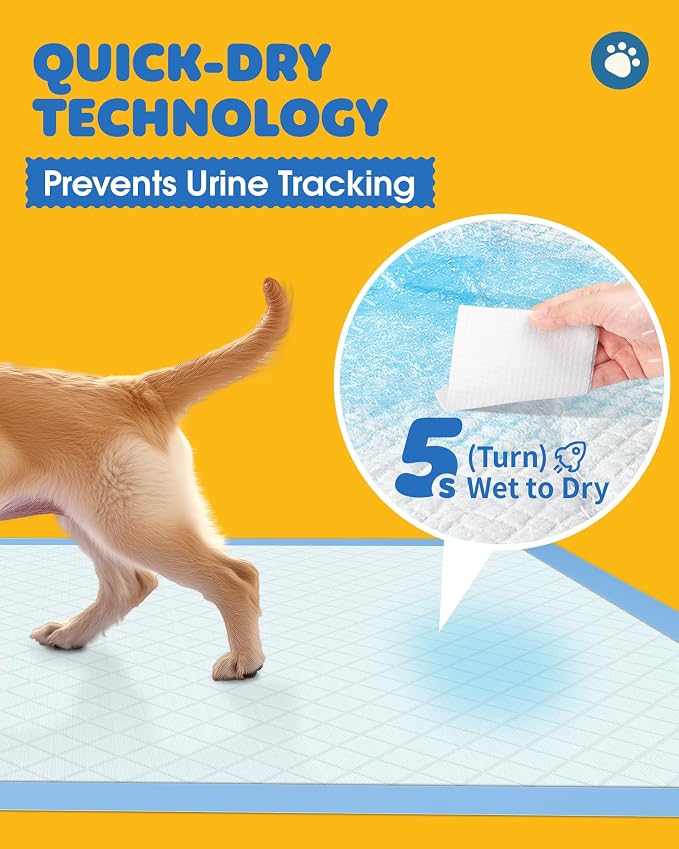 50-Pack Extra Large Thicker Pee Pads - Image 2