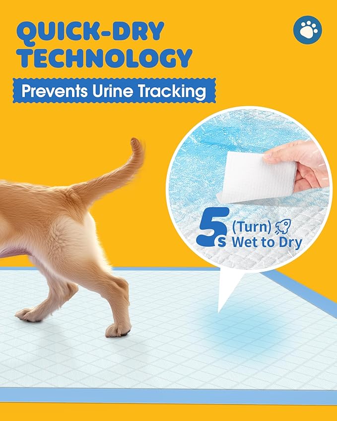 50-Pack Extra Large Pee Pads - Image 2