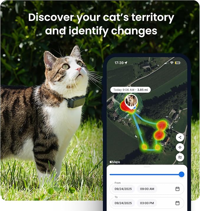 Tractive Smart Cat GPS Tracker | Real-Time Location & Wellness Monitoring - Image 4