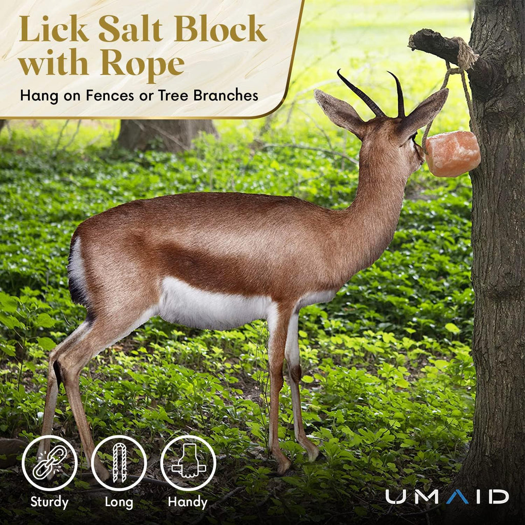 UMAID Himalayan Salt Lick 6 lbs. on Rope for Horses, Deer, Goats, Cow, Sheep, Cattle, Alpacas, and Livestock – Mineral Horse Treats, Natural Himalayan Rock Salt Block for Deer and Horses, 4 Pack