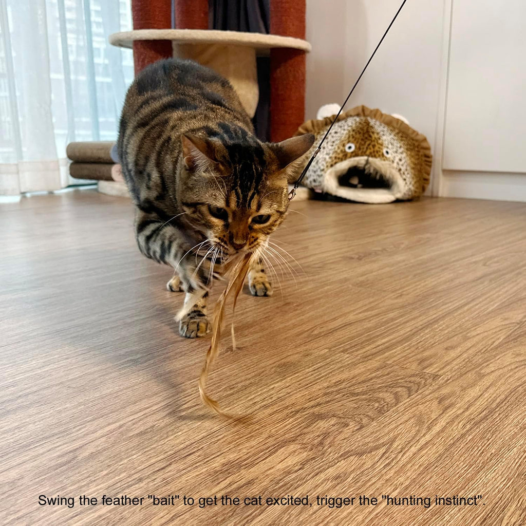 TTcat Cat Feather Wand Toys,Retractable Wand Toy with 4 Feather Refills, Interactive Cat Toy Kitten Toy for Indoor Cats to Play Chase Exercis