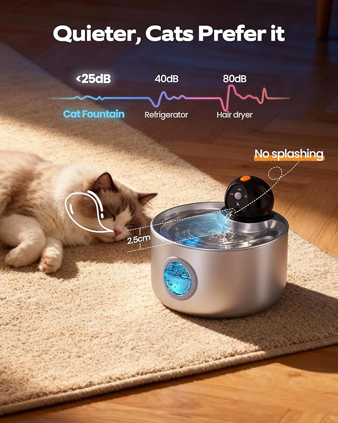 Wireless Cat Water Fountain Cordless: Stainless Steel Cat Fountains - Image 4