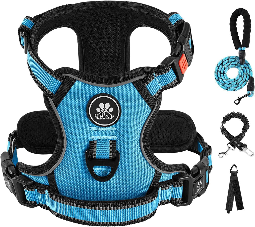 IVY&LANE No Pull Dog Harness for Medium Dogs, Dog Vest Harness with Leash, Safety Belt and Storage Strap, Fully Adjustable, 360 Reflective Strip, Soft Handle (Blue, M)