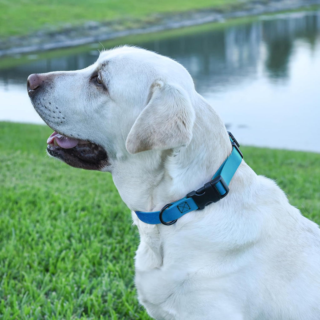 Dogline Biothane Waterproof Dog Collar with Quick Release Buckle Strong Coated Nylon Webbing with Odor- Proof for Easy Care Easy to Clean Fits Small Medium or Large Dogs, Dogline Blue 1" W 15-23" L