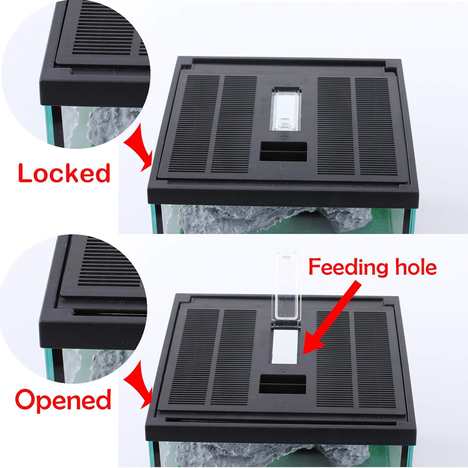 crapelles Glass Lizard Tank, Spider Box Kit, 7.8x7.8x5.9'' Tarantula Feeder Insects Beetle Habitat, Amphibians Terrarium for Small Pet, with Washable Mat, Resin Rock Shape Hideout, Artificial Flower
