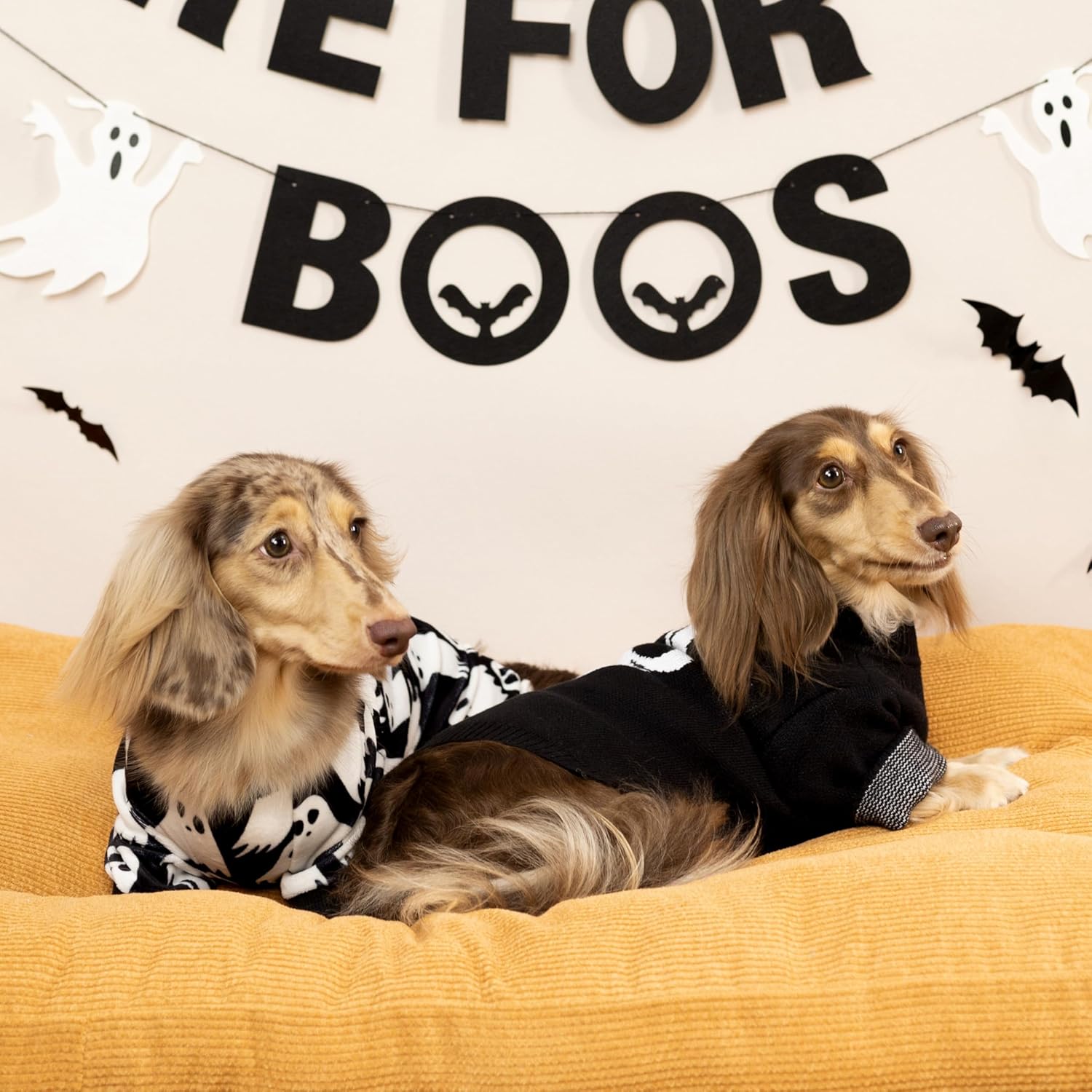 Fitwarm Halloween Ghost Dog Pajamas, Funny Halloween Costumes for Dogs, Fleece Dog Onesie with Feet, Doggy Clothes for Small Dogs Boy Girl, Pet Apparel, Black, White, Medium