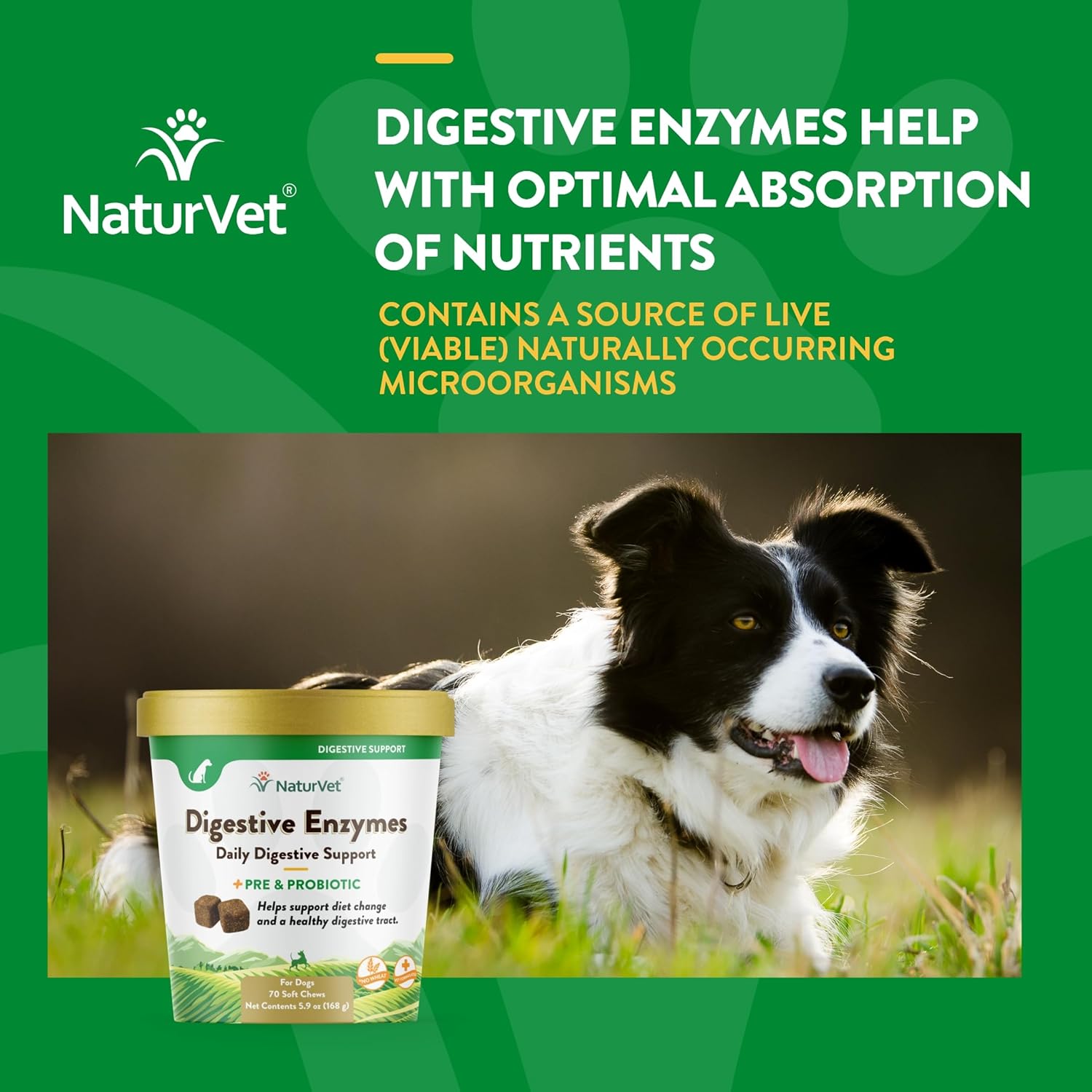 NaturVet – Digestive Enzymes - Plus Probiotics & Prebiotics – Helps Support Diet Change & A Healthy Digestive Tract – for Dogs (Soft Chews, 70 Count)