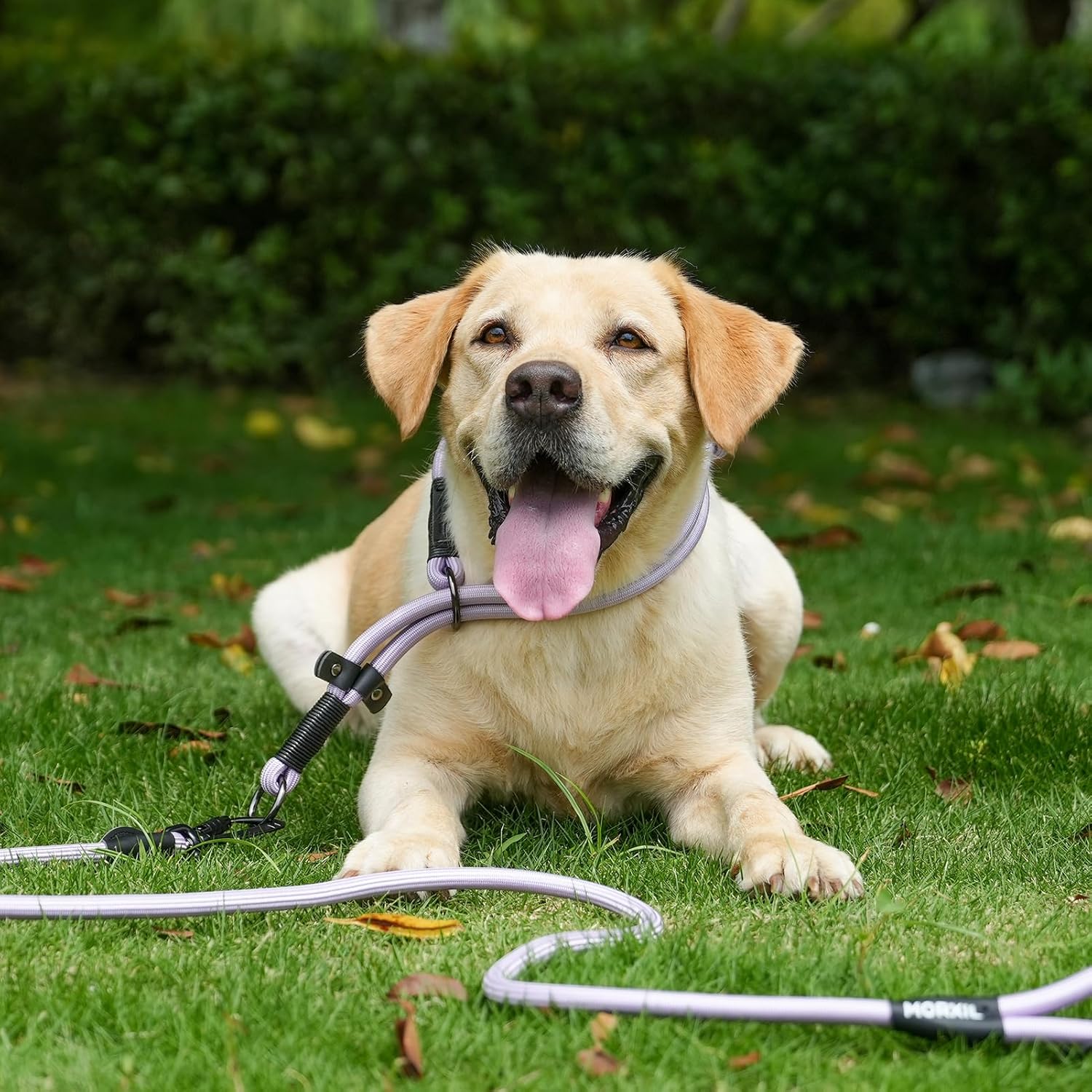 Rope Dog Leash with Two Handles, 6 Foot Heavy Duty Dog Leash with Aviation Aluminum Auto Locking Carabiner, Strong Nylon Pet Lead for Small, Medium, Large Dogs (Purple, 6FT-Two Handle)