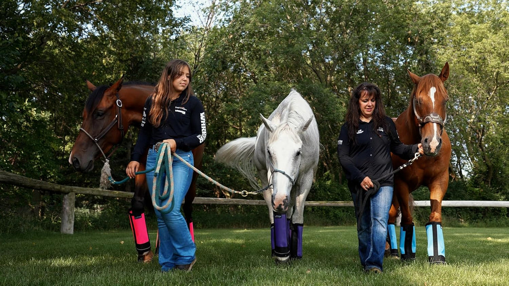 Warrior Fly Boots for Horses - Breathable Mesh Horse Boots for Fly Protection & Leg Comfort - Set of 4 (Trojan Warrior, Gray)