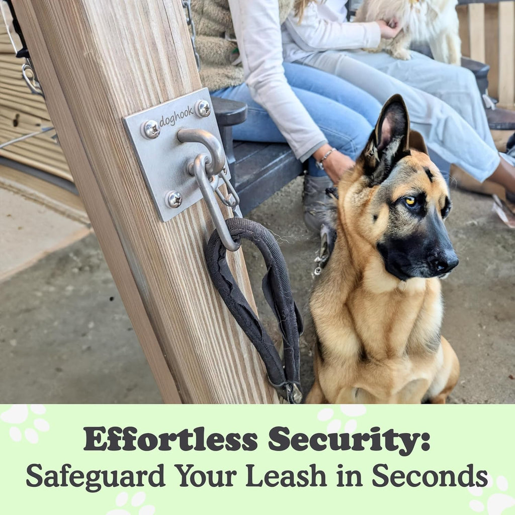 Canine Hitch- Secure Dog Leash Parking Wall Large Hook with Clip 6 Pack - Tie Out Stainless Steel & ABS Mounting Plate for Strength - Practical Lead Management for Home & Business