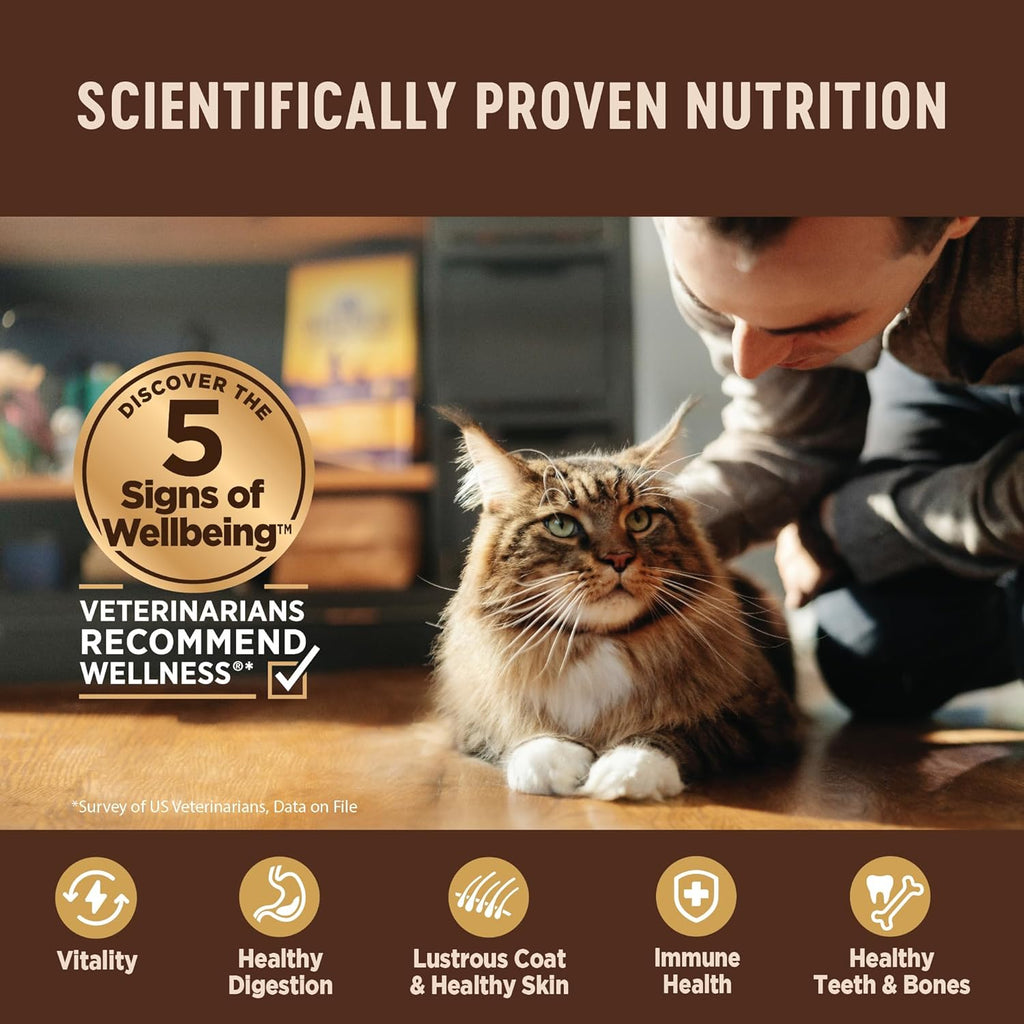 Wellness CORE Tiny Tasters Pate Adult Wet Cat Food, Natural, Protein-Rich, Grain Free, 1.75 Ounce Pouch, 12 Pack (Tuna)