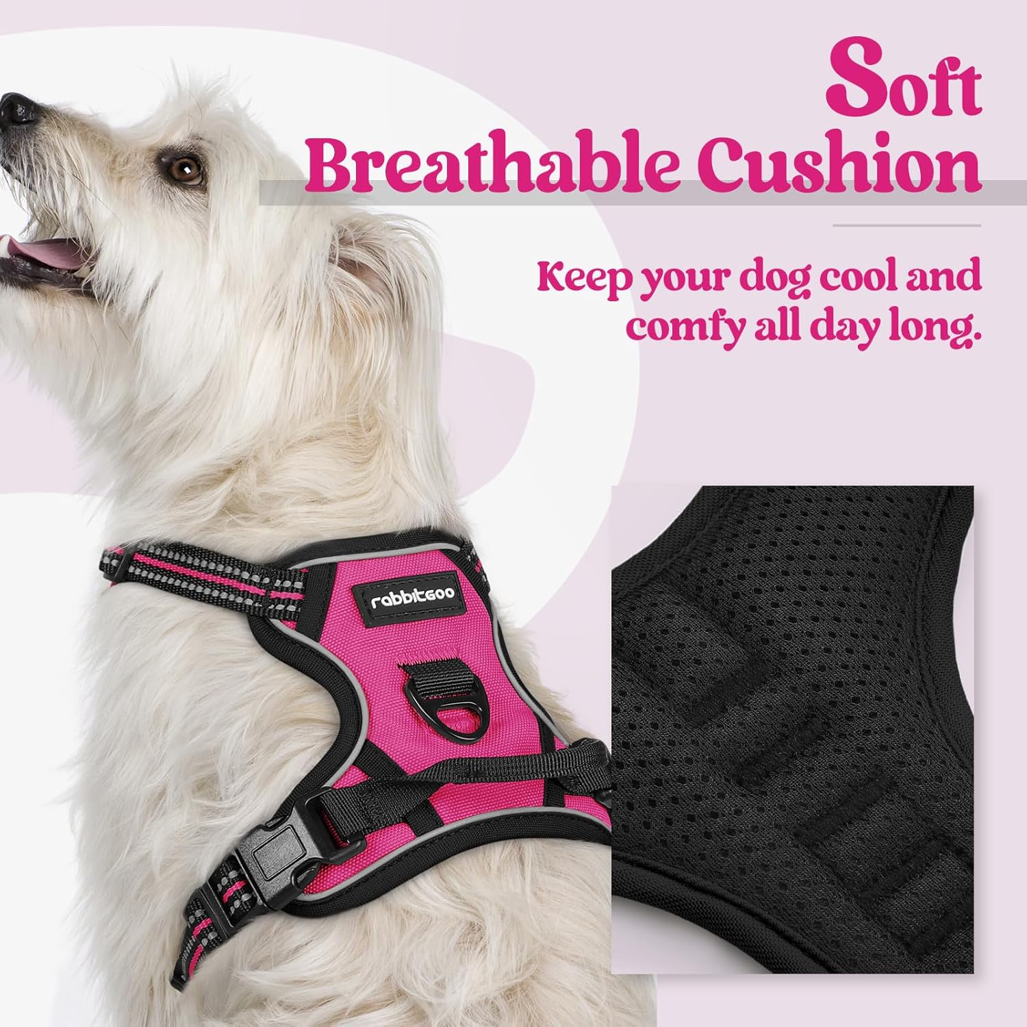 rabbitgoo Dog Harness No Pull with 2 Leash Clips, Adjustable Soft Padded, Reflective Oxford No Choke Pet Vest with Easy Control Handle for Puppy, Hot Pink, XS
