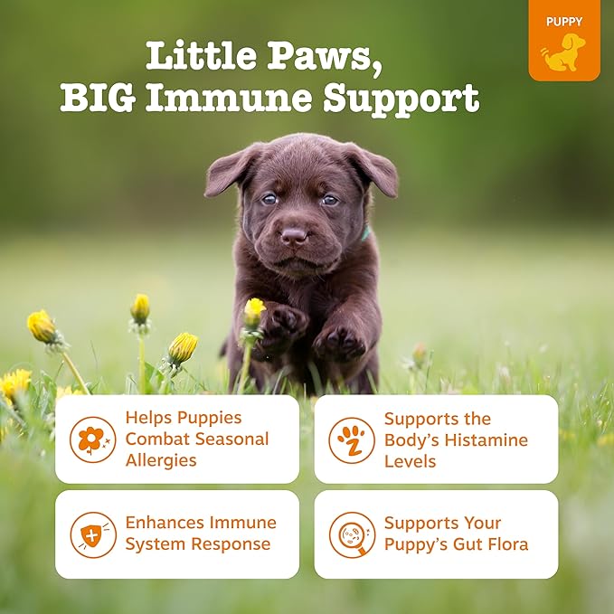 Zesty Paws Puppy Allergy Immune Bites - Image 2