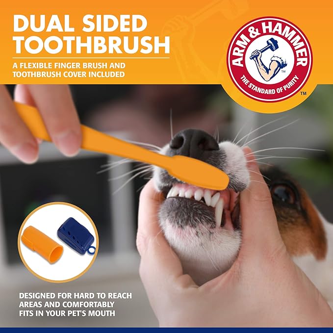 Arm & Hammer for Pets Tartar Control Dog Dental Care Kit Banana Mint Flavor - Image 3