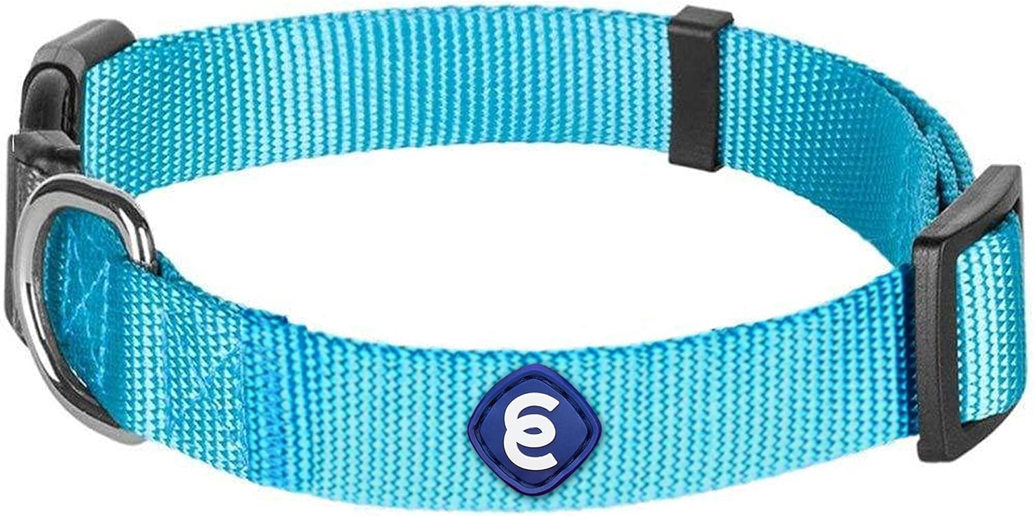 Blueberry Pet Essentials Large Dog Collar in Turquoise | Adjustable & Eco-Friendly Durable Nylon Strap | Classic Collar for Large Dogs, Boy & Girl Pets