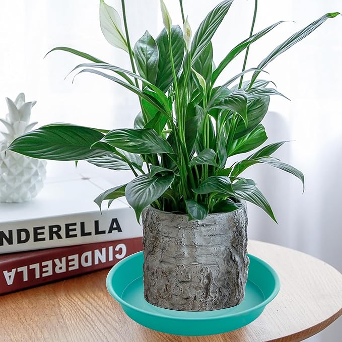 6 Pack of 6 inch Plant Saucer Drainage Tray, 4 5 7 8 10 12 13 15 17 19 inch - Image 3