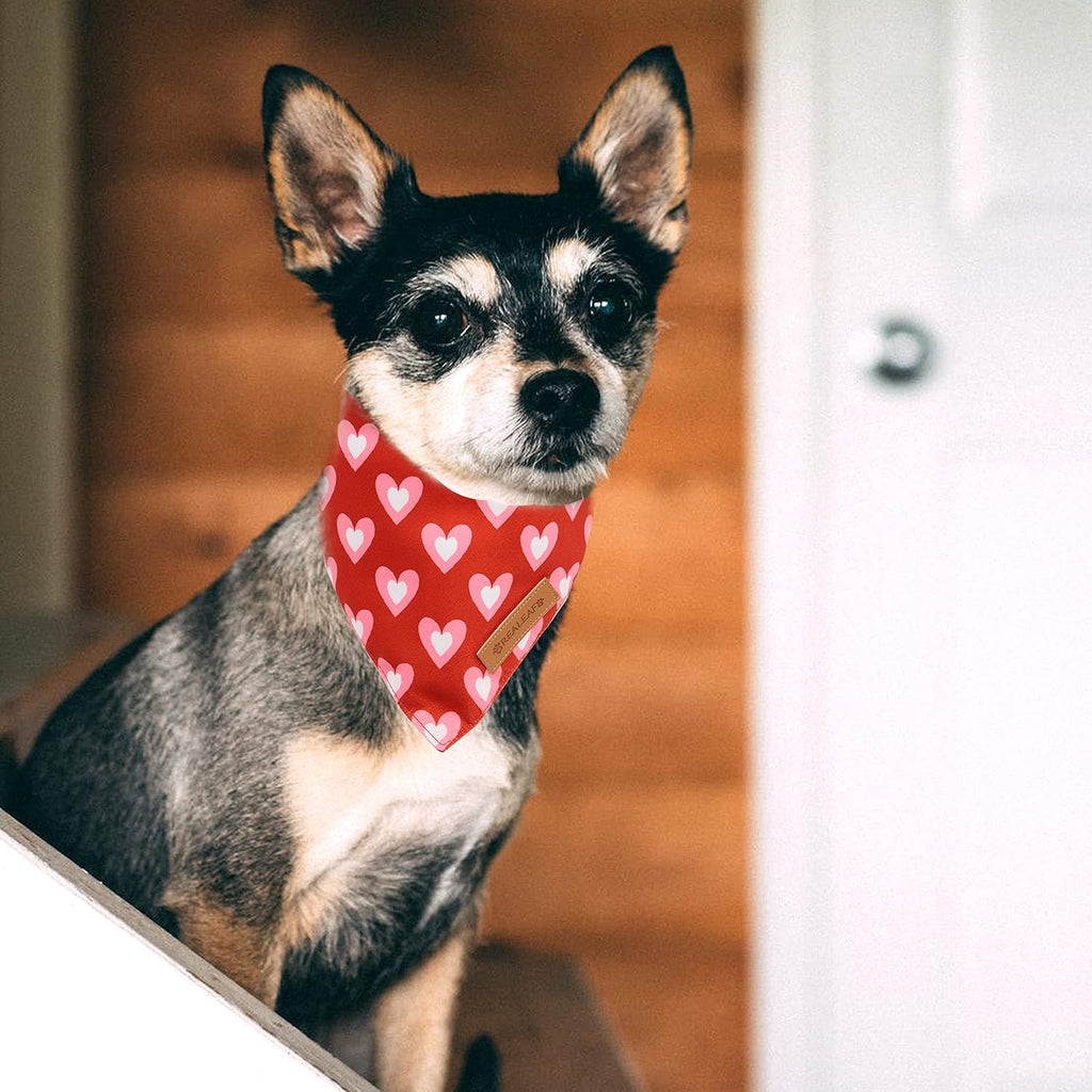 Realeaf Love Dog Bandanas 2 Pack, Triangle Reversible Mothers Day Valentine's Day Pet Scarf for Boy and Girl, Premium Durable Fabric, Holiday Bandana for Small and Medium Dogs (Small)