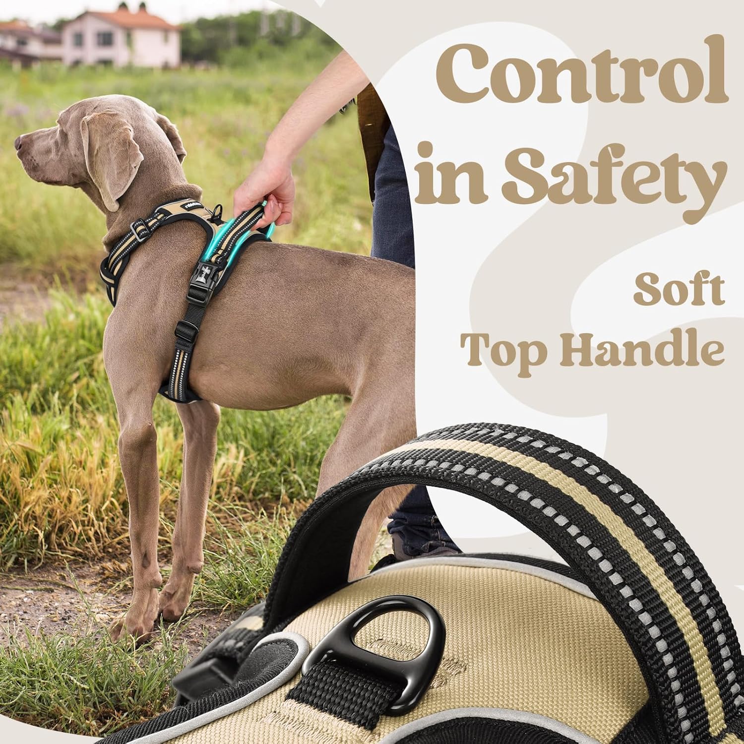 rabbitgoo Dog Harness Medium Sized, No Pull Pet Harness with 3 Buckles, Adjustable Soft Padded Vest with Control Handle, Walking Reflective Pet Vest for Medium Dogs, Beige, M