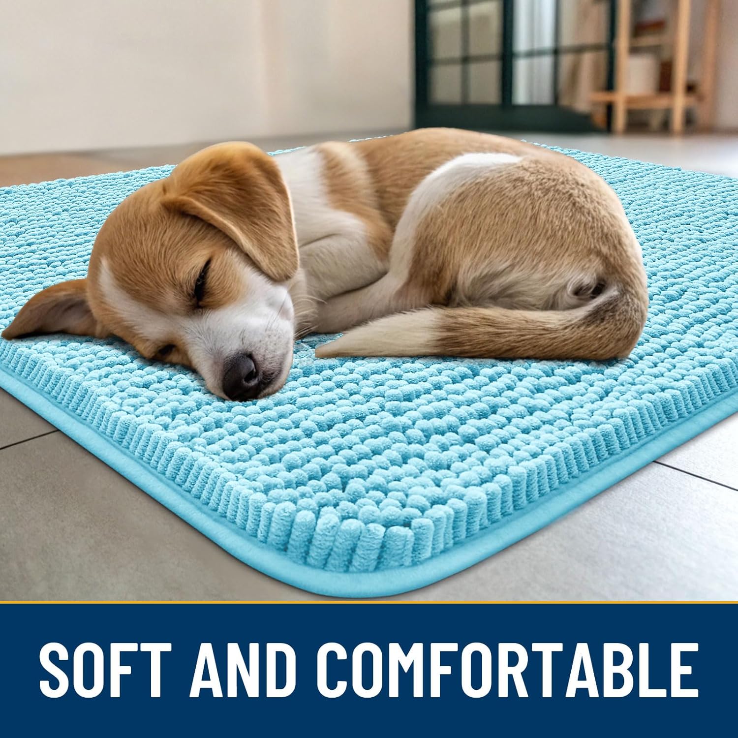 Smiry Dog Door Mat for Muddy Paws 36x24, Absorbs Moisture and Dirt Doormat, Non-Slip Washable Quick Dry Chenille Front Door Mat Indoor Entrance, Entryway Carpet for Inside Floor, Sky Blue