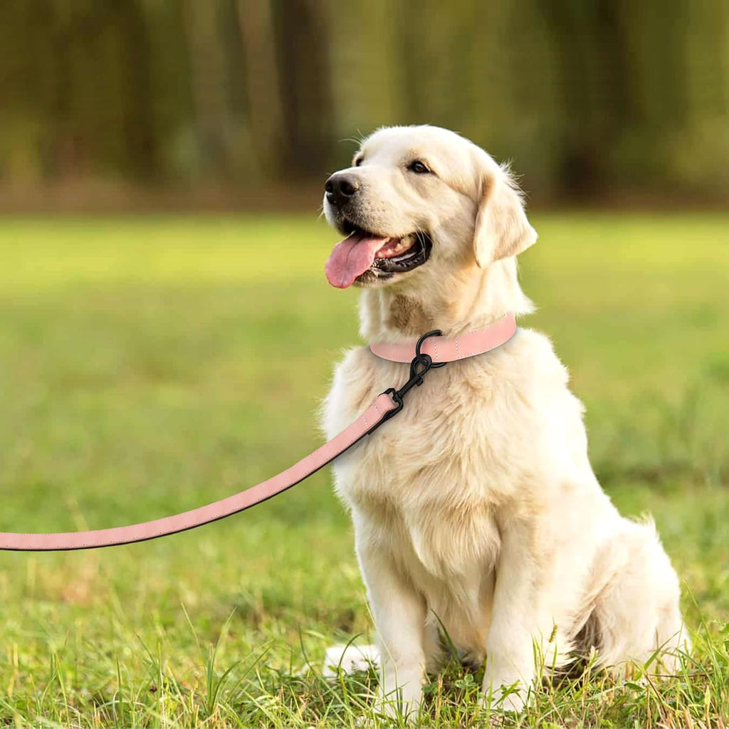 Didog Soft Padded Leather Dog Collar and Leash Set, Pink Breathable Pet Collars with 4FT PU Leather Dog Leash for Small Medium Large Dogs, Pink, XL