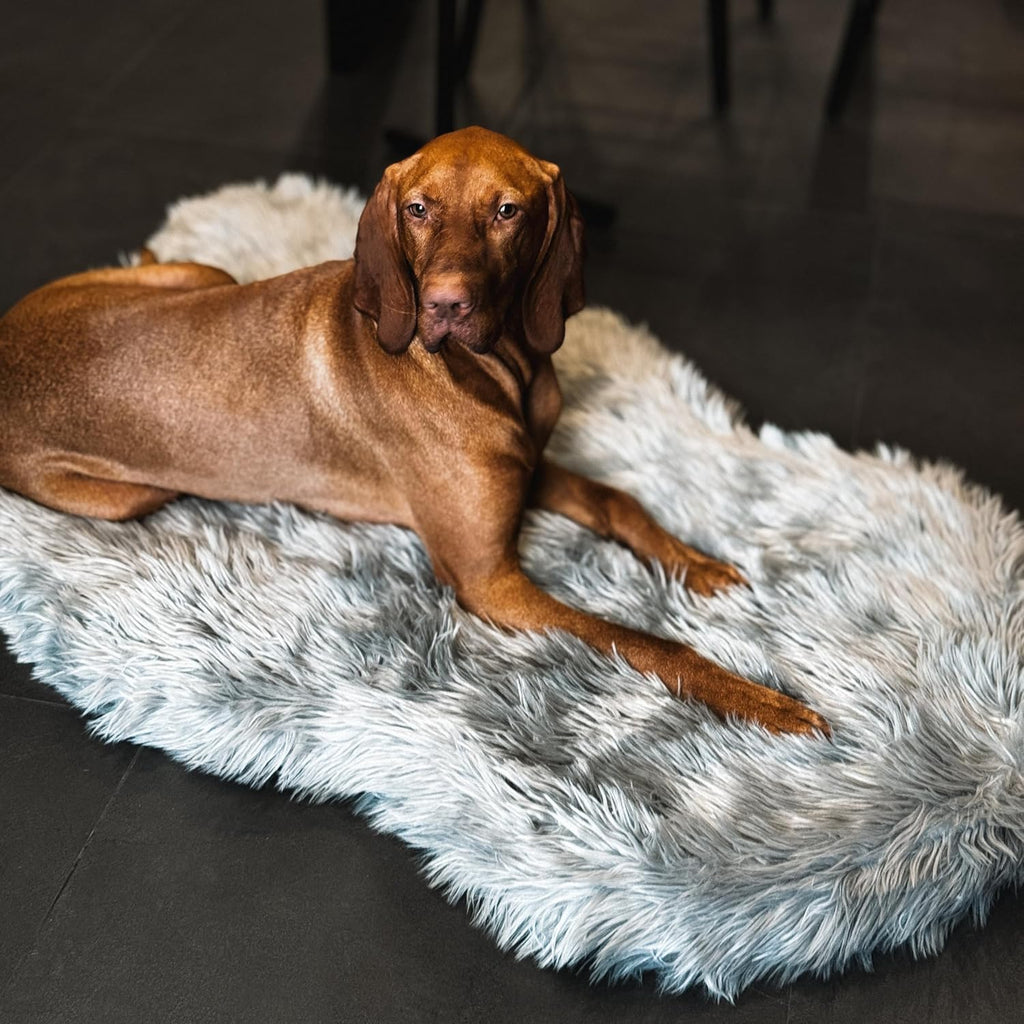 IHAPPYDOG Luxury Faux Fur Orthopedic Dog Bed, Memory Foam Dog Bed for Small, Medium, Large and XL Pets, Fluffy Pet Bed with Waterproof and Washable Cover (Grey, 50"x30")