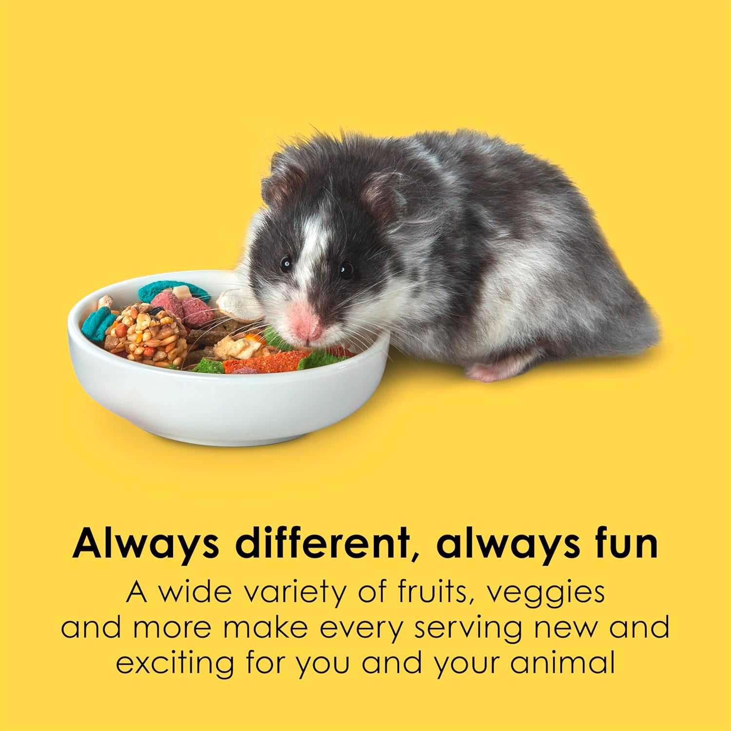Kaytee Fiesta Hamster & Gerbil Food, Nutritious and Fun Blend, Supports Dental Health and Digestion, 4.5 pounds