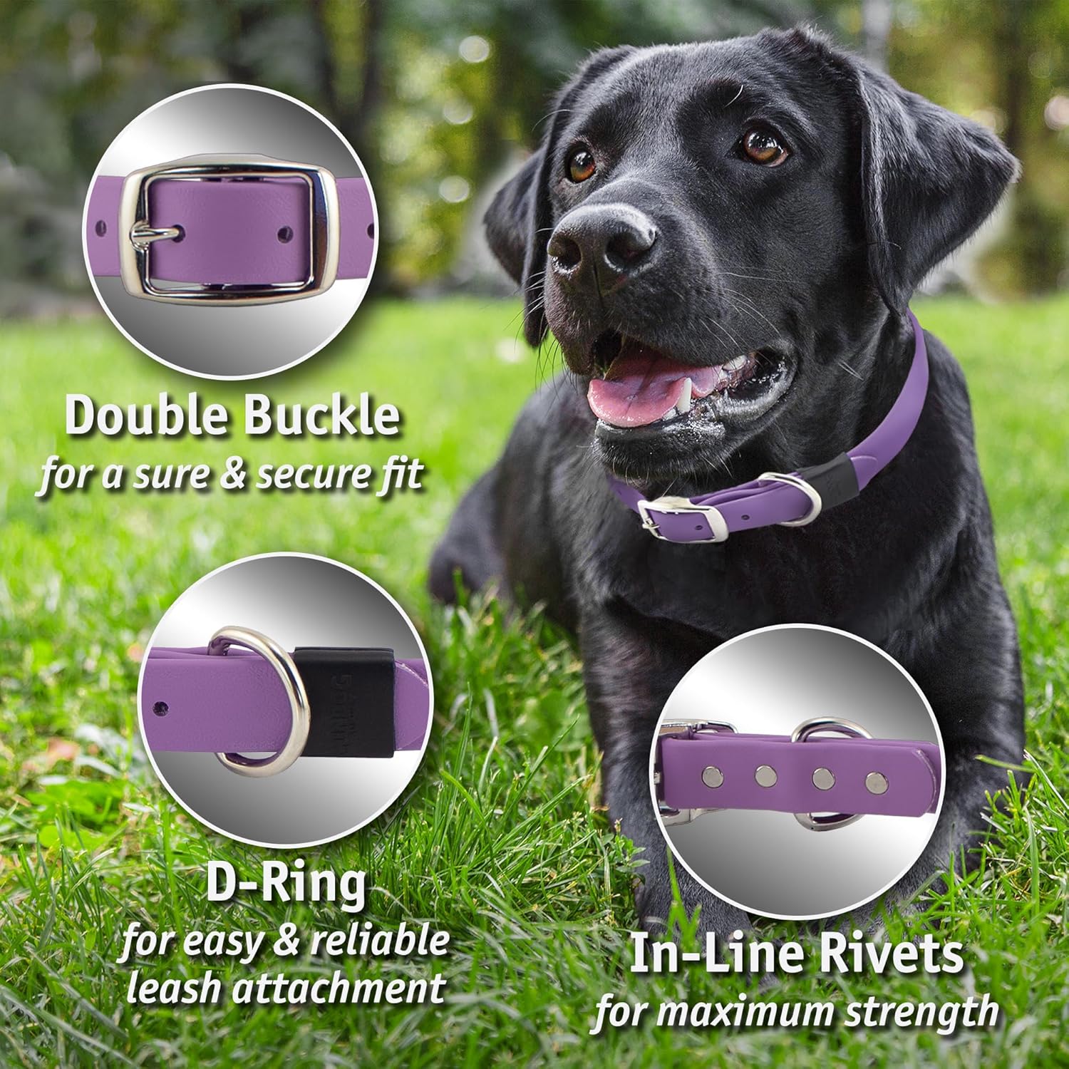 Biothane Custom Dog Collar – Waterproof, Stink-Proof Personalized Collar with Name & Phone Number – Durable, Many Sizes and Colors – Assembled in USA (Royal Blue)