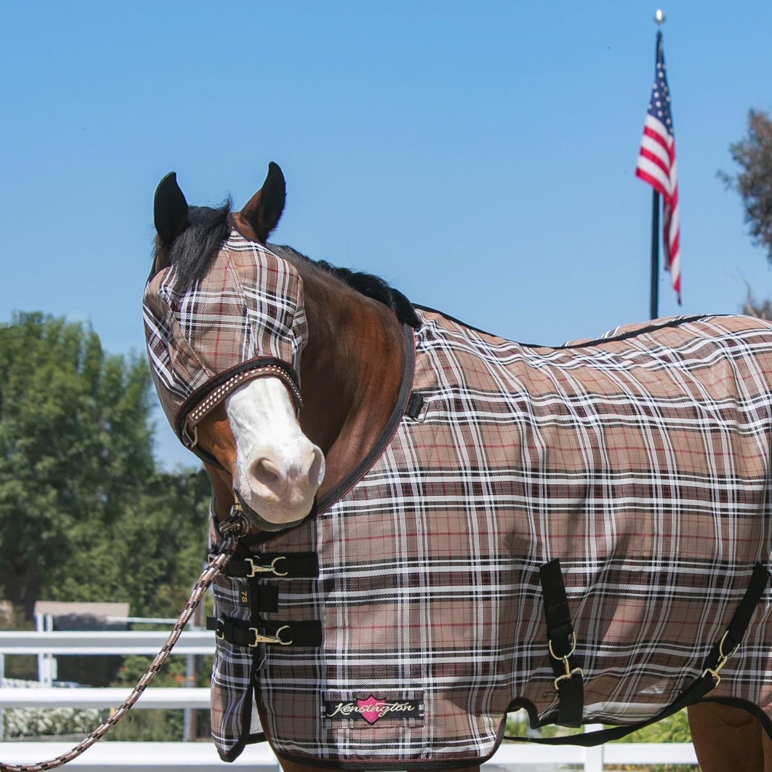 Kensington UV Horse Fly Mask with Web Trim - Protective Mask with Dual Ear Opening & Forelock Freedom - Small, Deluxe Black