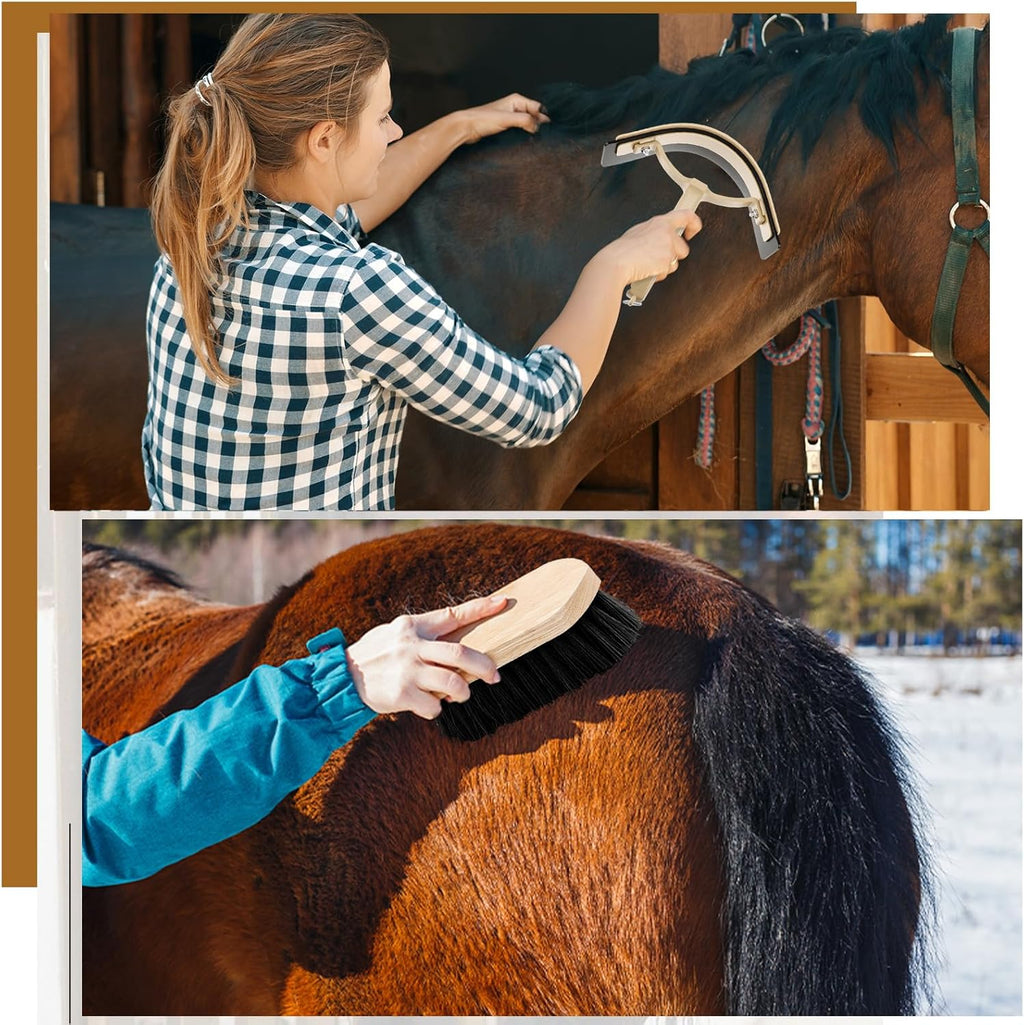 Abbylike 12 Pieces Horse Grooming Kit Racing Festival Tack Room Supplies Horse Brush Sets Equine Care Cleaning Kit Shedding Grooming Massaging Tools(Black)