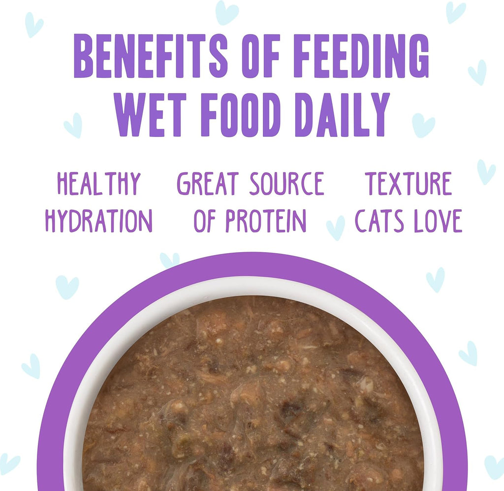 Weruva B.F.F. OMG - Best Feline Friend Oh My Gravy!, Best Day Eva! with Beef & Salmon in Gravy Cat Food, 5.5oz Can (Pack of 8)
