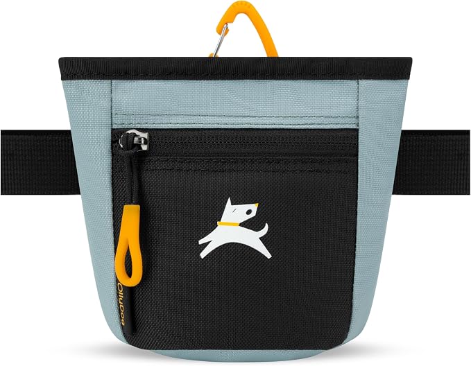 OllyDog, Goodie Treat Bag, Dog Treat Training Pouch | Magnetic Closure | 3 Ways by OllyDog